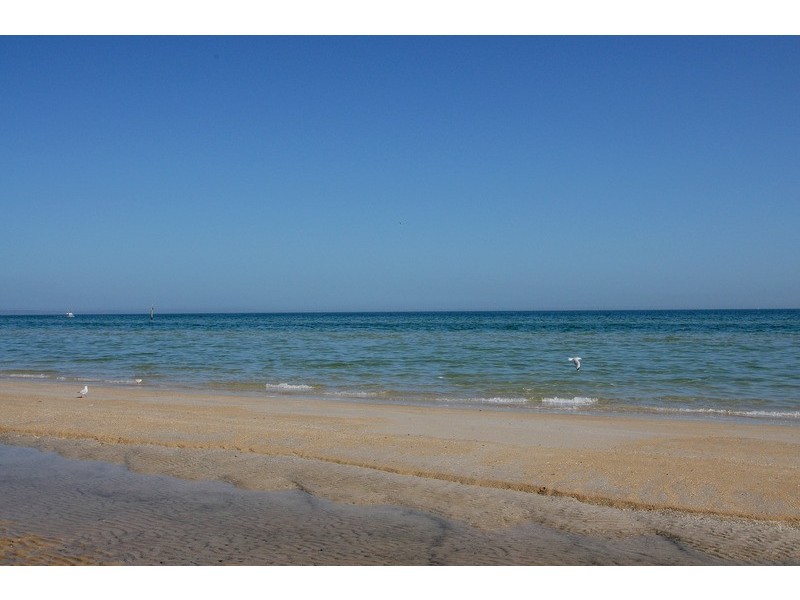 Boat Shed 490 Gnotuk Avenue, Aspendale VIC 3195