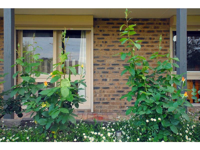 6-8 Darnley Drive, Skye VIC 3977