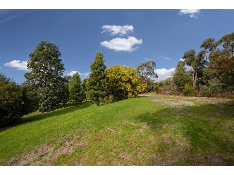 13 Sugar Glider Place, Langwarrin VIC 3910