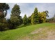 13 Sugar Glider Place, Langwarrin VIC 3910