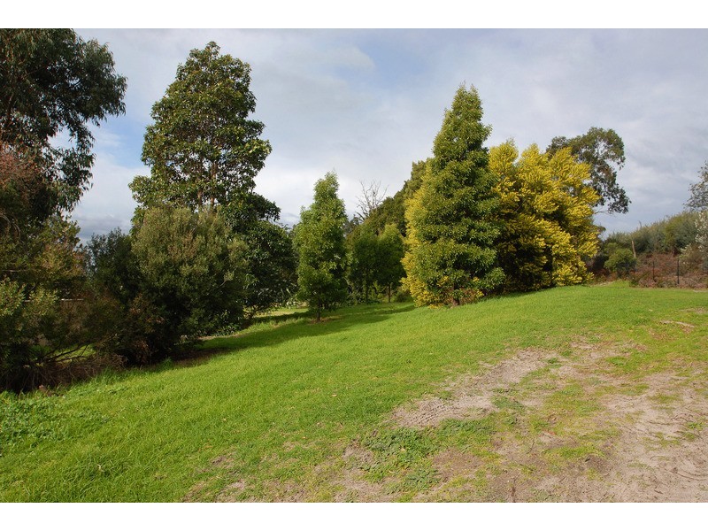 13 Sugar Glider Place, Langwarrin VIC 3910