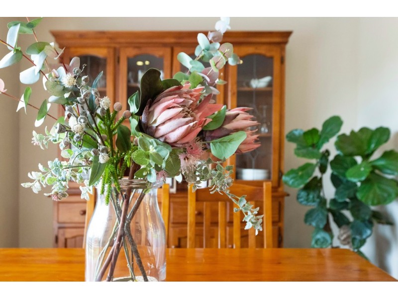 41 Sanoma Drive, Skye VIC 3977