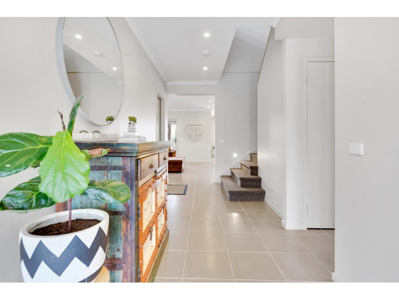 41 Sanoma Drive, Skye VIC 3977