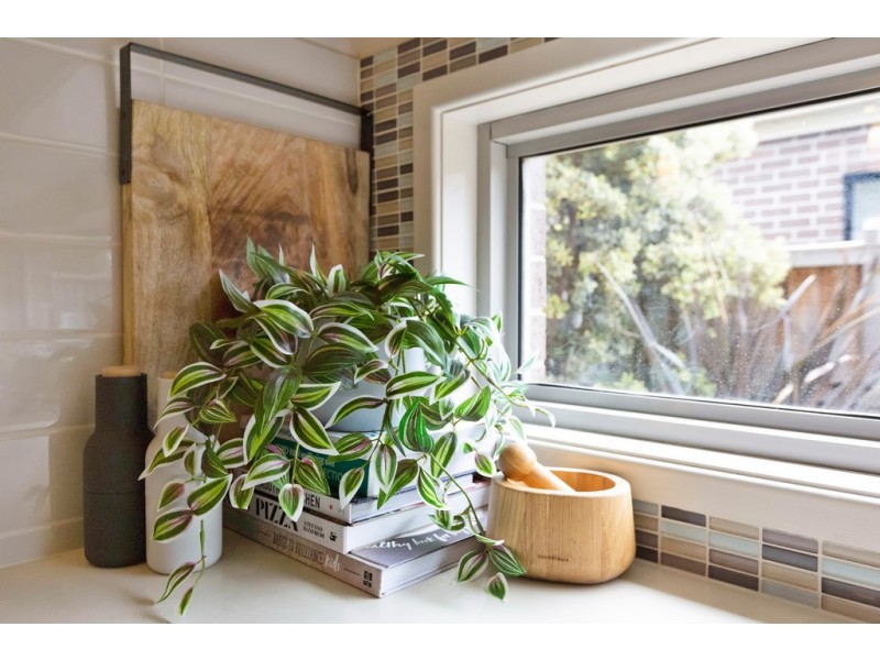 41 Sanoma Drive, Skye VIC 3977