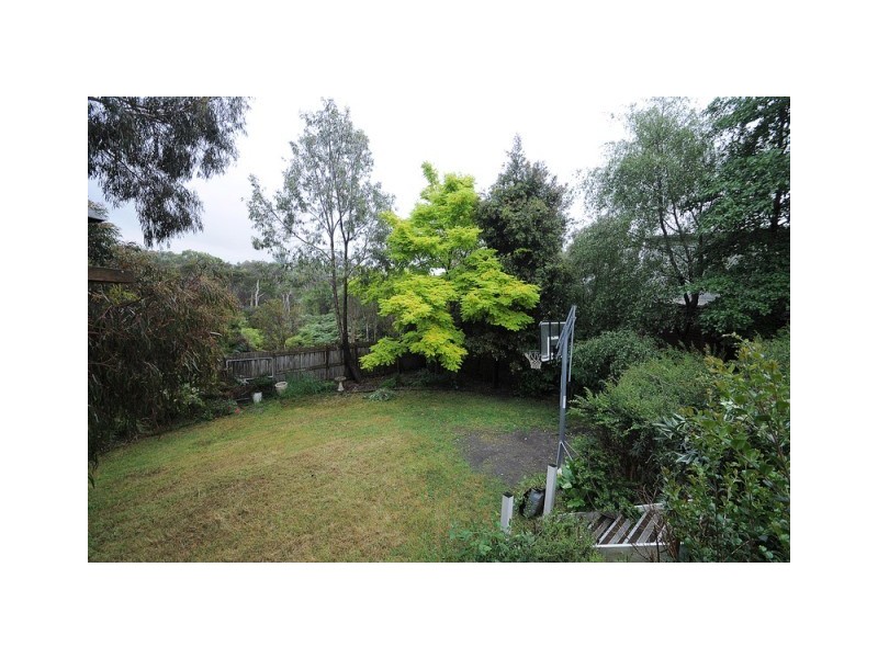 11 Cotoneaster Way, Langwarrin VIC 3910