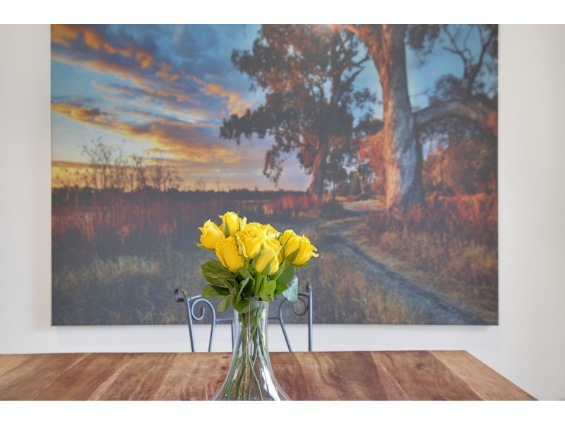 10 Parrot Court, Carrum Downs VIC 3201