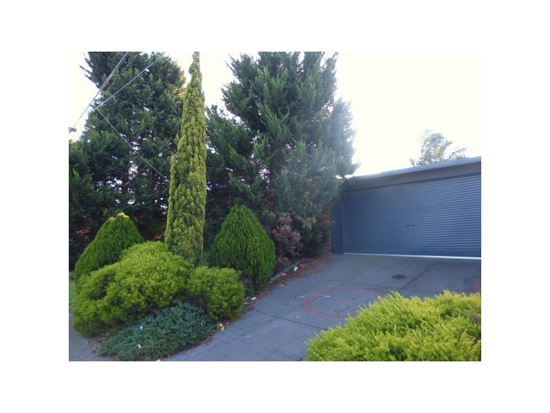 163 Hall Road, Carrum Downs VIC 3201