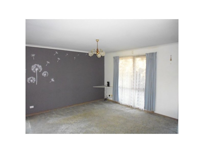 163 Hall Road, Carrum Downs VIC 3201