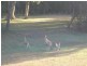Coombabah QLD 4216