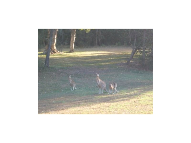 Coombabah QLD 4216