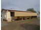 Lot 14 First Street, Wild Horse Plains SA 5501