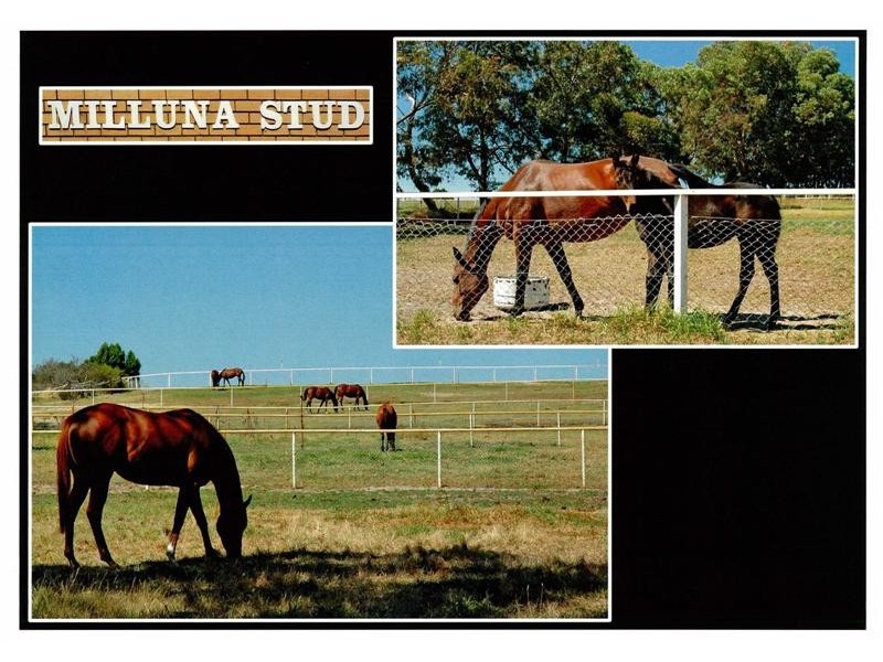 Lot 16 McGilp Road, One Tree Hill SA 5114