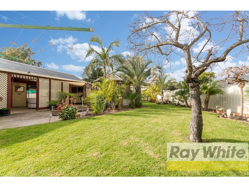 20 Wyreema Street, Largs North SA 5016