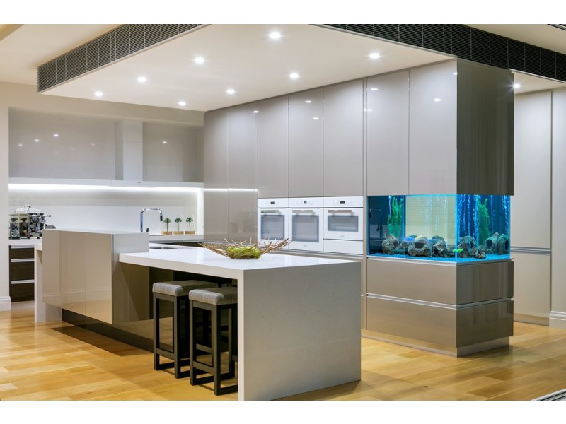 30 Fergusson Avenue, Craigburn Farm SA 5051