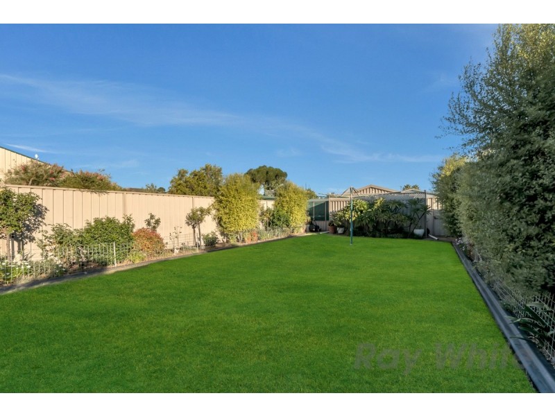 19a Balcombe Avenue, Findon SA 5023