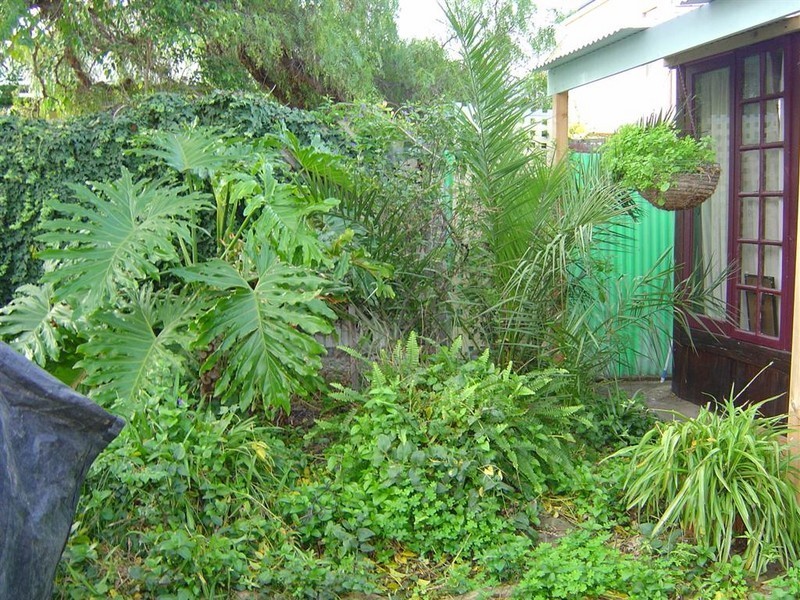 31  Blackler Street, Semaphore SA 5019