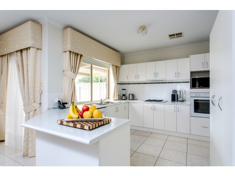 15 Brian Grove, Paradise SA 5075