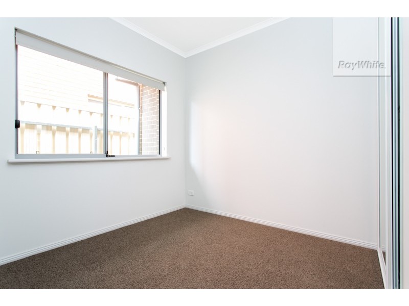 15A Brian Grove, Paradise SA 5075