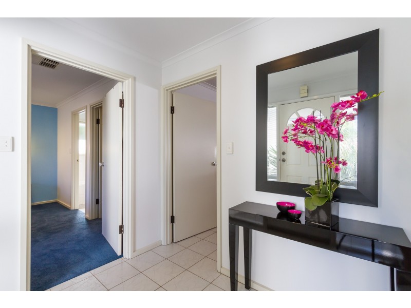 41 Anaconda Drive, North Haven SA 5018