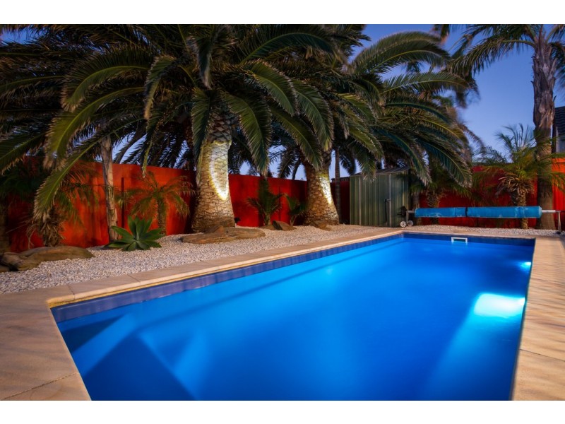 41 Anaconda Drive, North Haven SA 5018