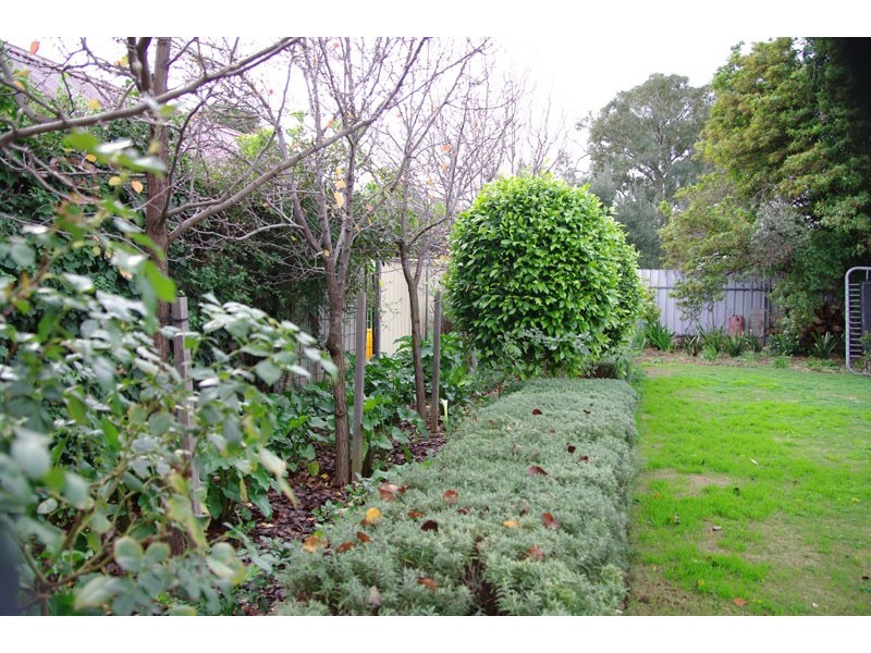 129 Coombe Road, Allenby Gardens SA 5009