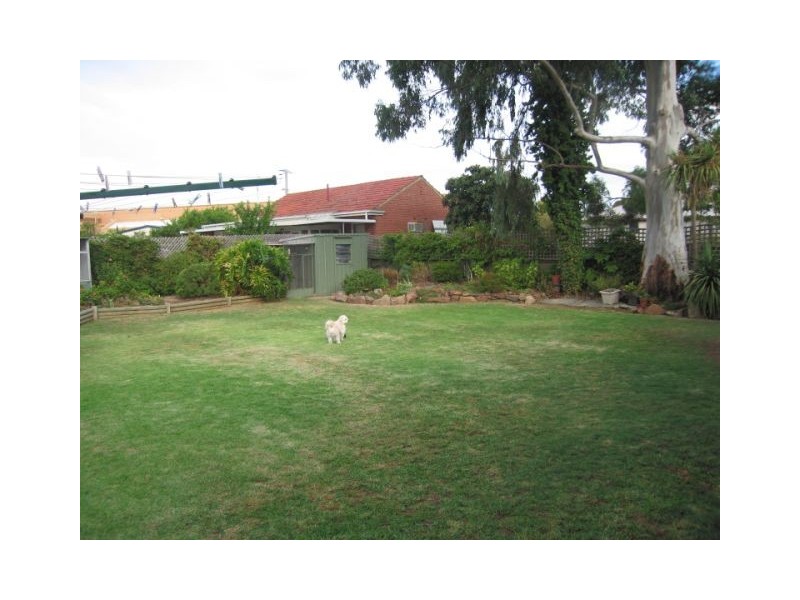 5 Daly Street, Kurralta Park SA 5037