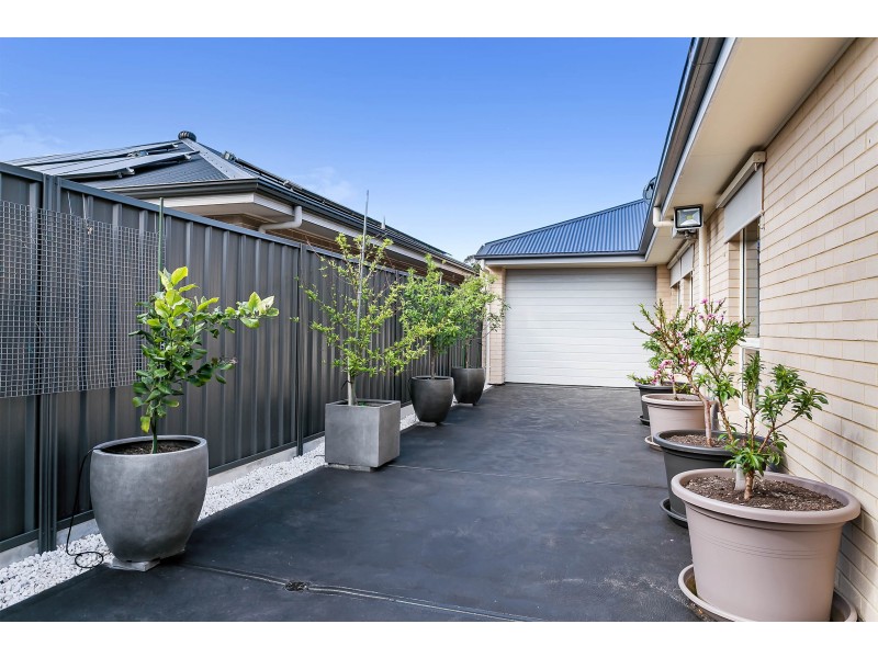 19 Wandilla Street, Largs North SA 5016