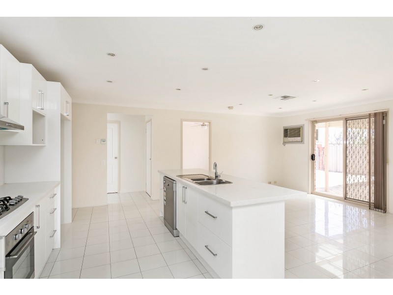 1 Porter Avenue, Renown Park SA 5008