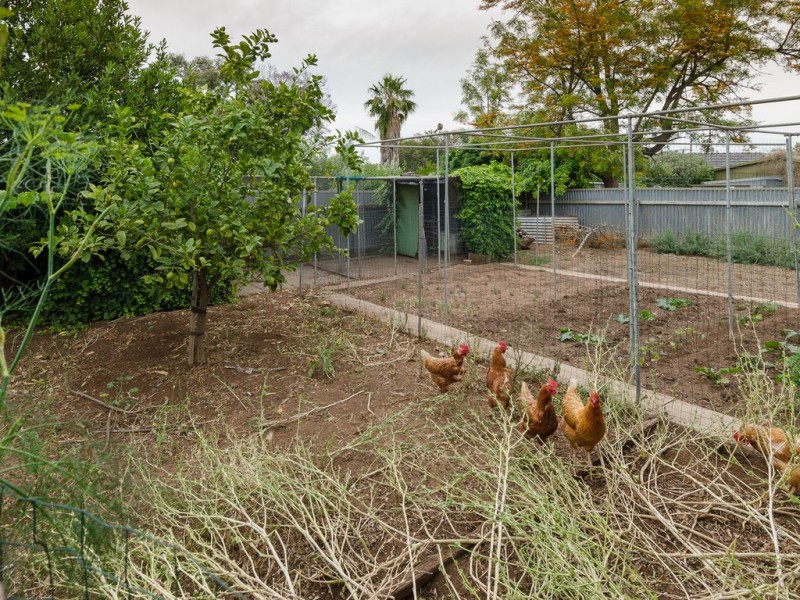 15 Gunther Parade, Pasadena SA 5042