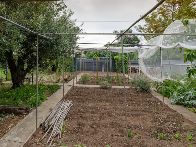 15 Gunther Parade, Pasadena SA 5042