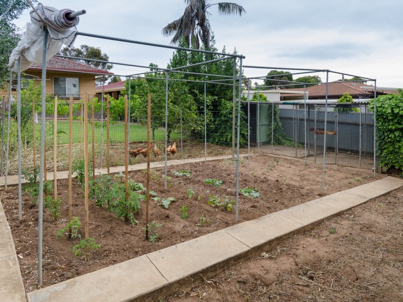 15 Gunther Parade, Pasadena SA 5042