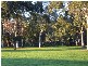 16 Catherine Avenue, Flinders Park SA 5025