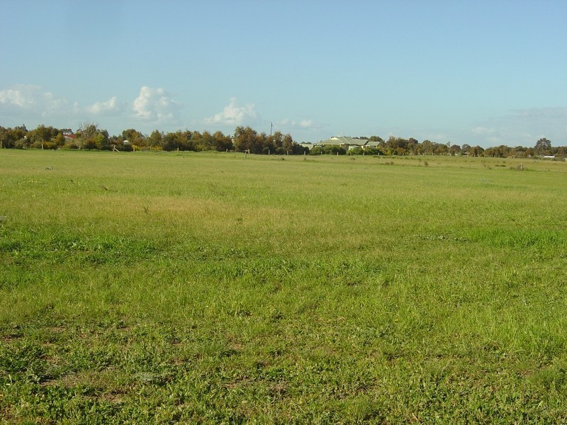 7 Trim Road, Two Wells SA 5501