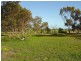7 Trim Road, Two Wells SA 5501