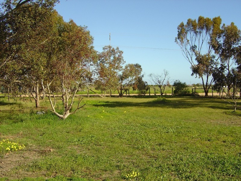 7 Trim Road, Two Wells SA 5501