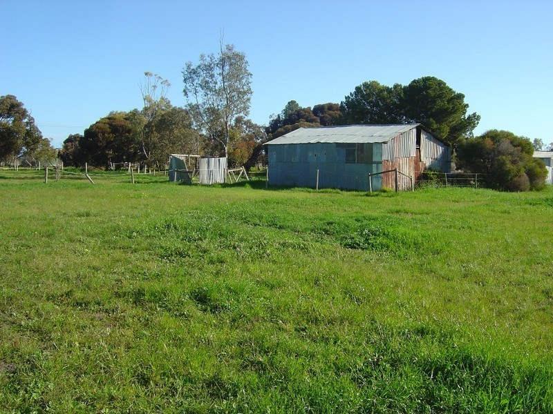 7 Trim Road, Two Wells SA 5501
