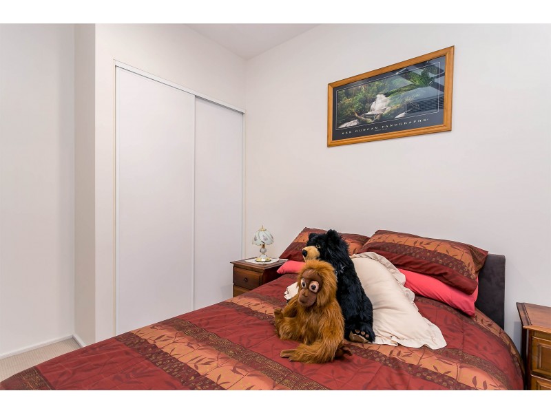 1/6-8 Hurtle Parade, Mawson Lakes SA 5095