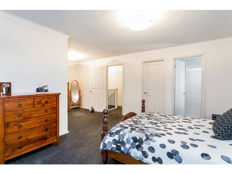 12 Pelican Lane, Mawson Lakes SA 5095