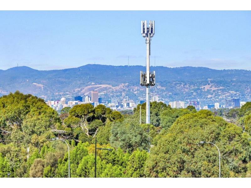 303/2 The Pinery, West Lakes SA 5021