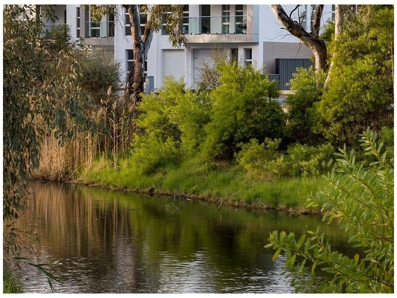 16A Charlotte Court, Grange SA 5022