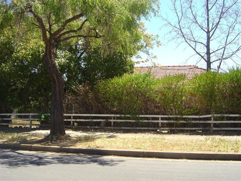 54 Barton Street, Blair Athol SA 5084