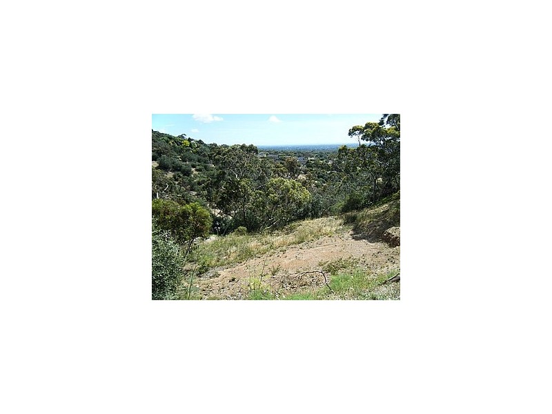 Lots 53 and 54 Knox Terrace, Skye SA 5072