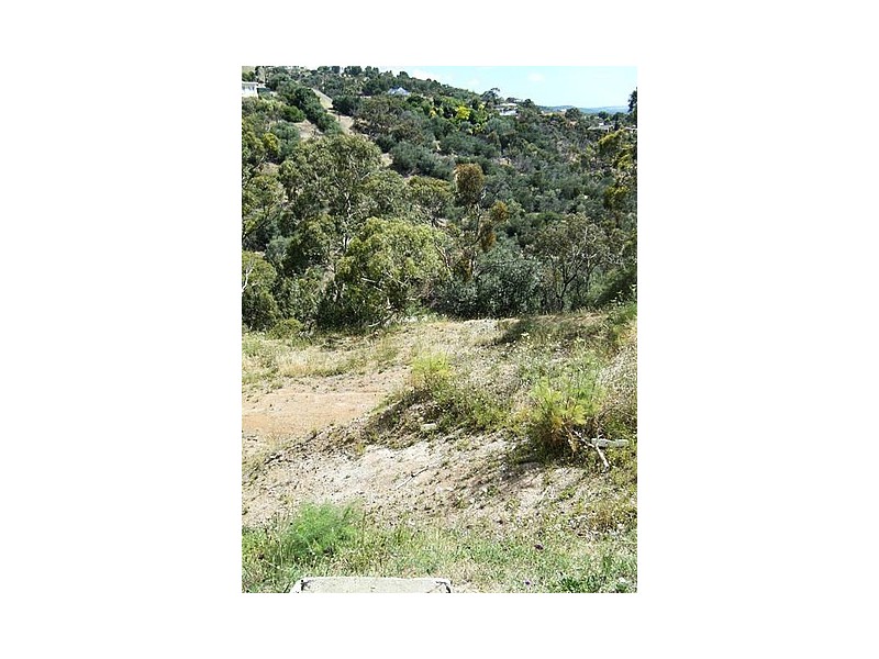 Lots 53 and 54 Knox Terrace, Skye SA 5072