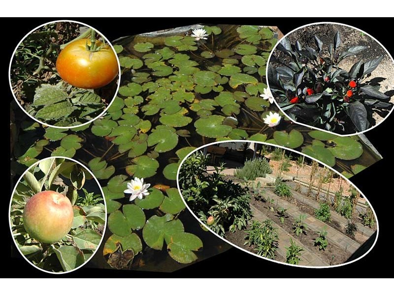 413 Military Road, Largs Bay SA 5016