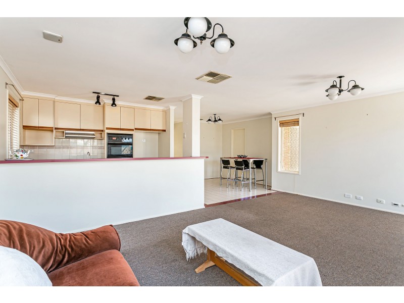 13 Insignia Avenue, Andrews Farm SA 5114