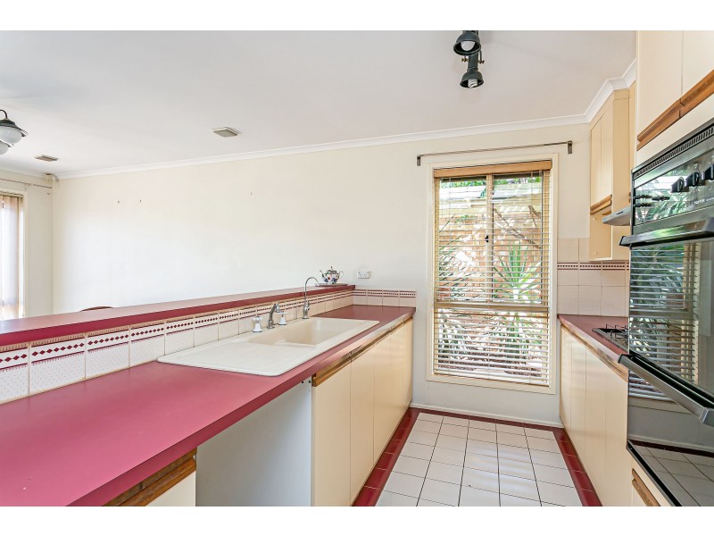 13 Insignia Avenue, Andrews Farm SA 5114