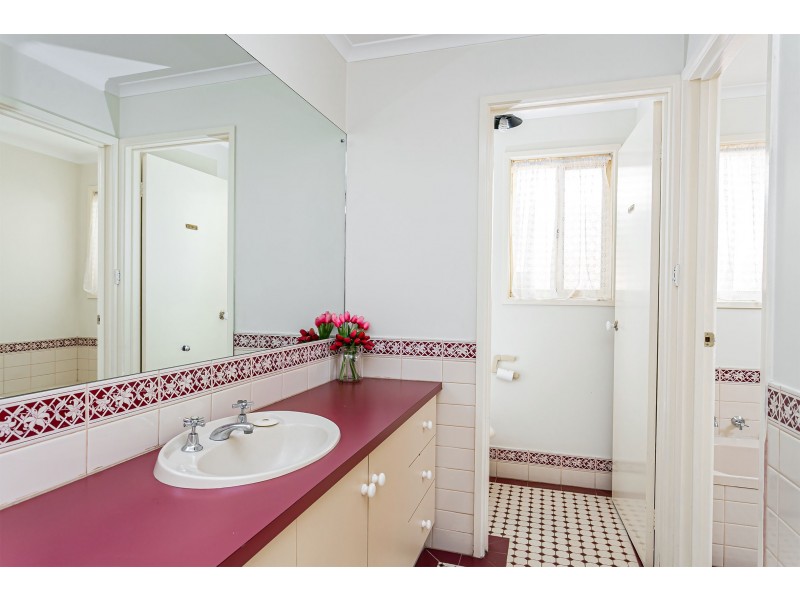 13 Insignia Avenue, Andrews Farm SA 5114