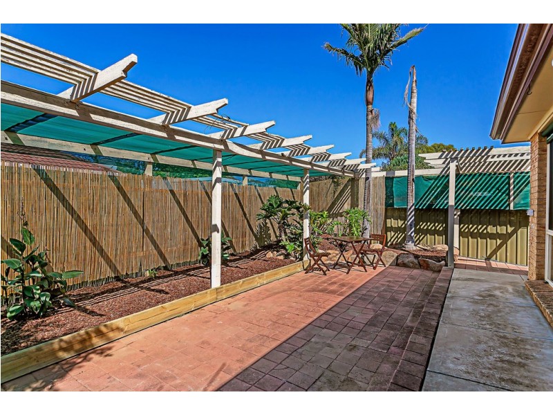 13 Insignia Avenue, Andrews Farm SA 5114