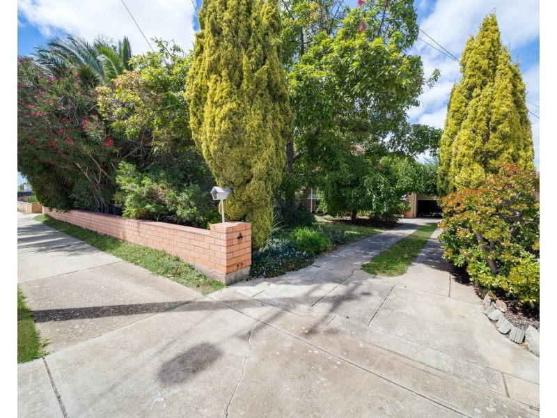 11 Amanda Avenue, Findon SA 5023