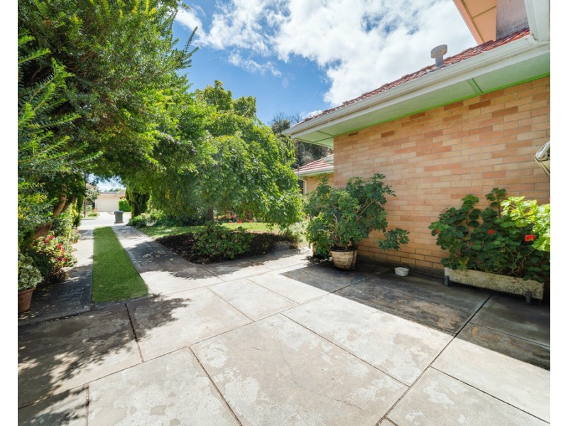 11 Amanda Avenue, Findon SA 5023